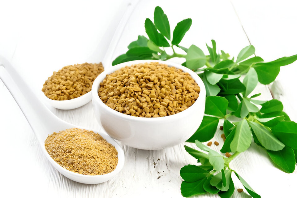 fenugreek